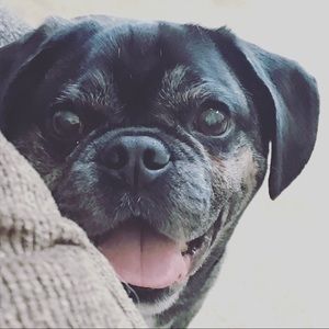 Meet your Posher, Joanna